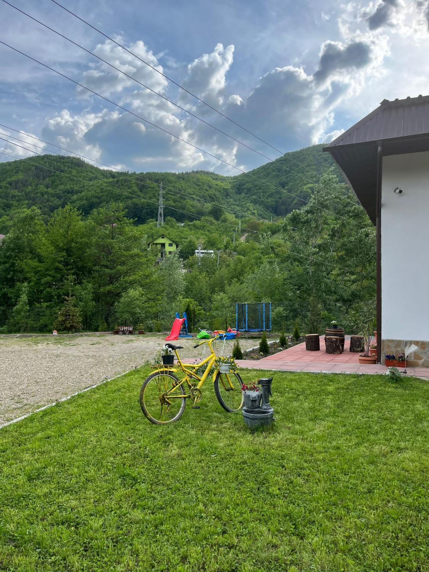 Gasthaus Casa Vio Nehoiu Exterior foto