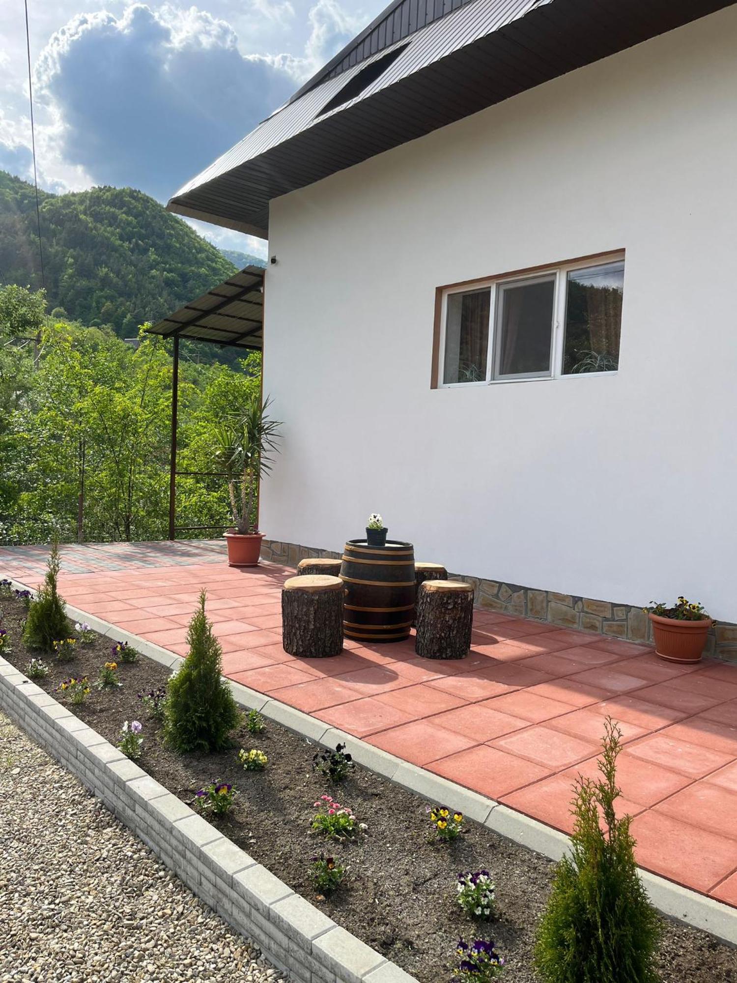 Gasthaus Casa Vio Nehoiu Exterior foto